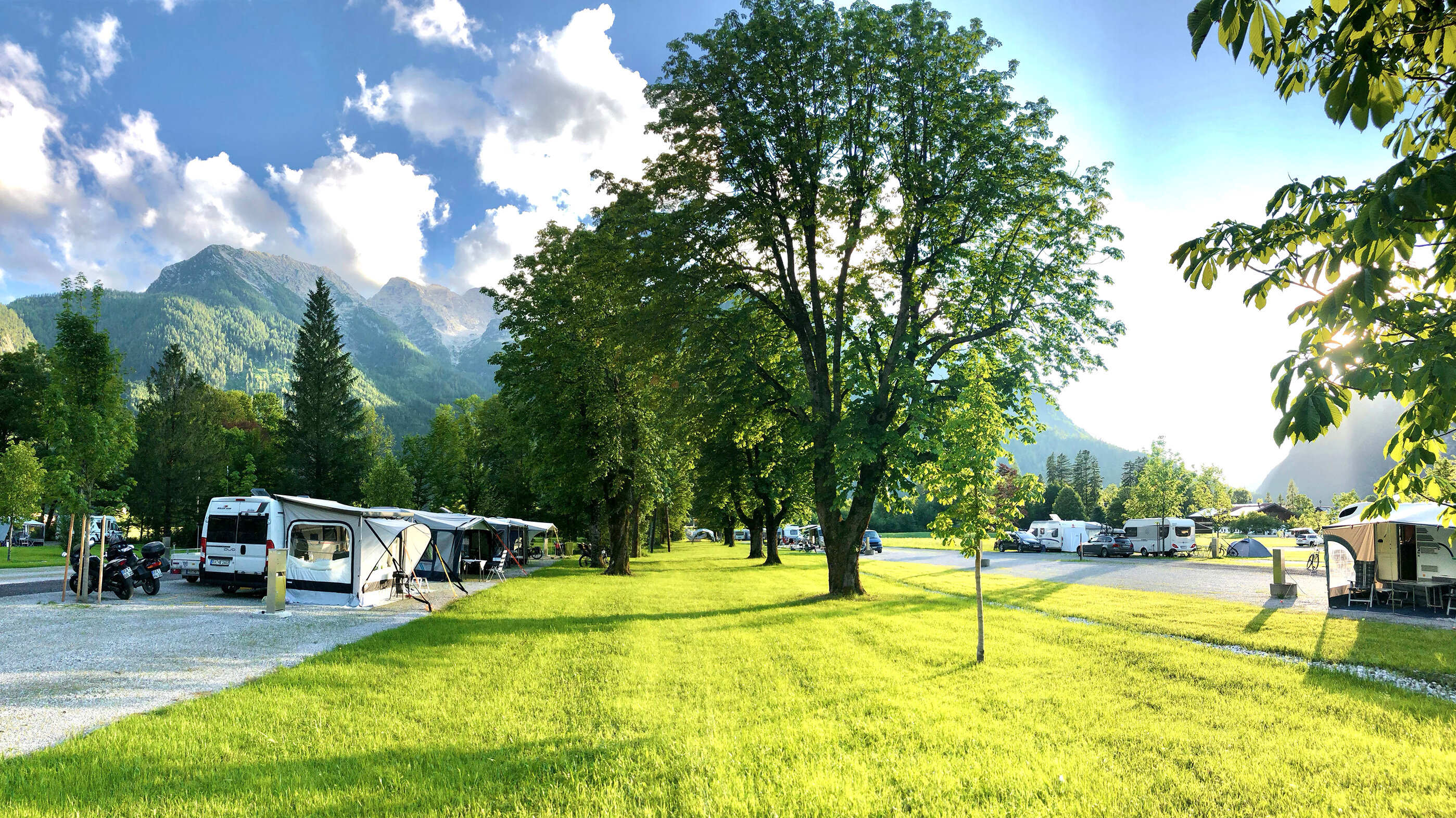 Frühlingswiese beim Campingplatz Grubhof in Lofer
